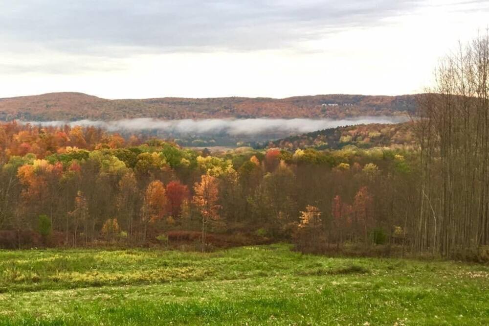 Photo of Others in Hartwick