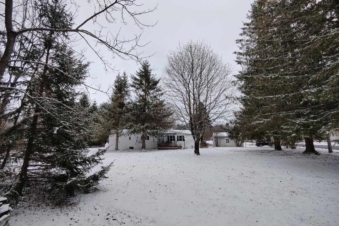 Photo of Outdoor in East Jewett