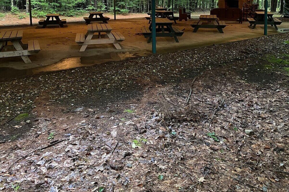 Photo of Others in Middle Grove