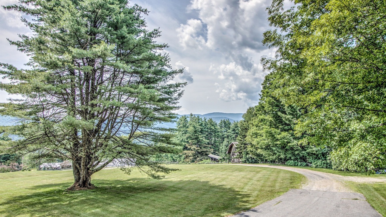 Photo of Outdoor in Jamaica
