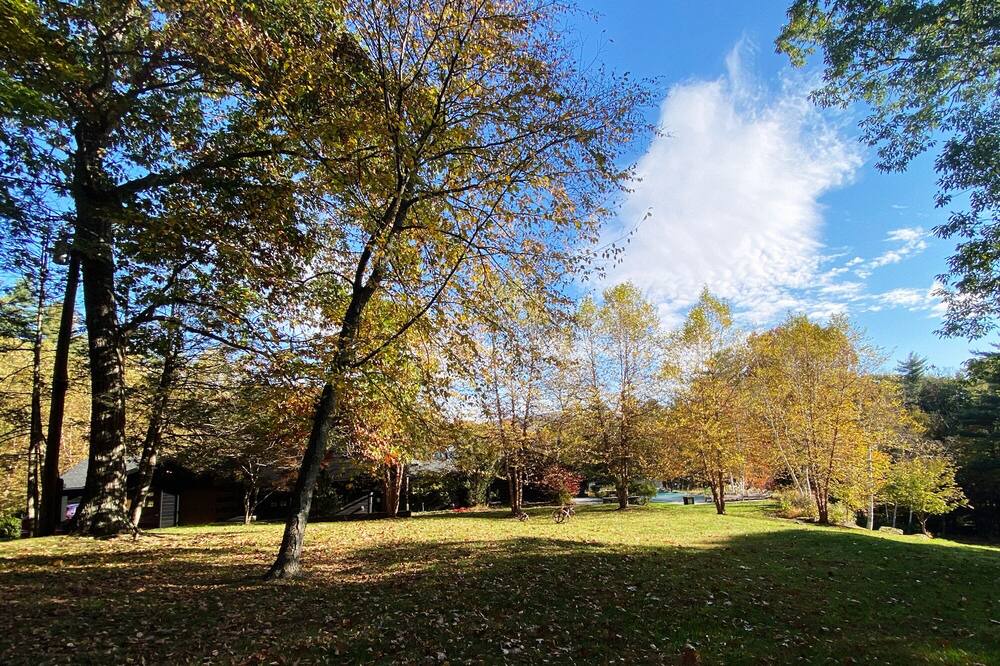 Photo of Outdoor in Woodstock