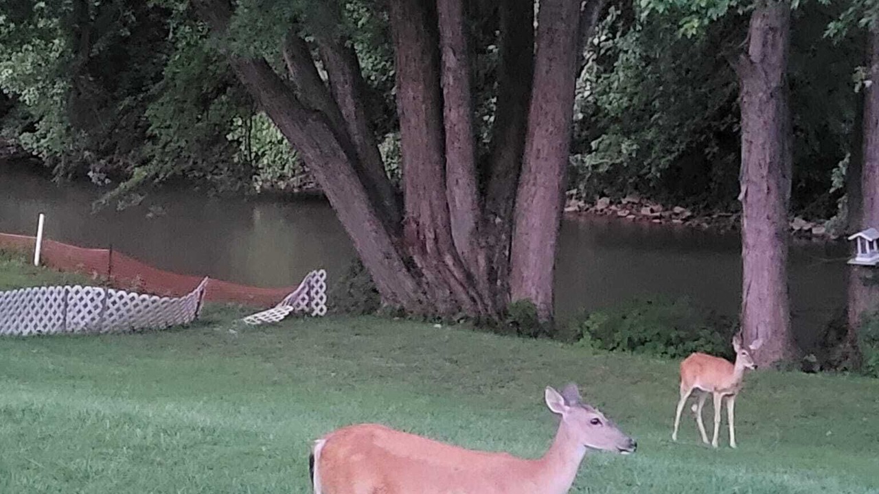 Photo of Outdoor in Wheeling