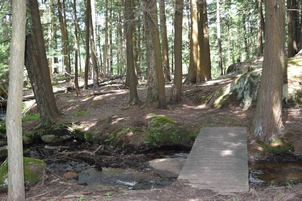 Photo of Outdoor in Lyons Falls