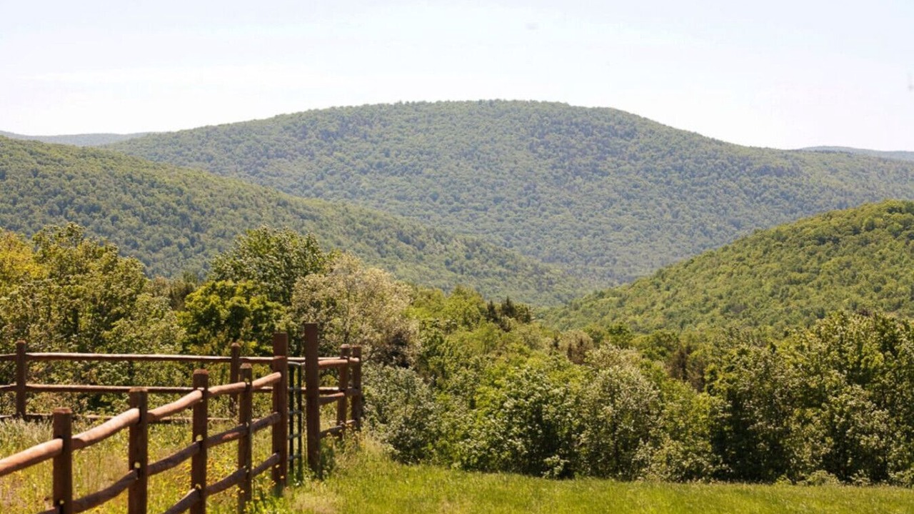 Photo of Others in Margaretville