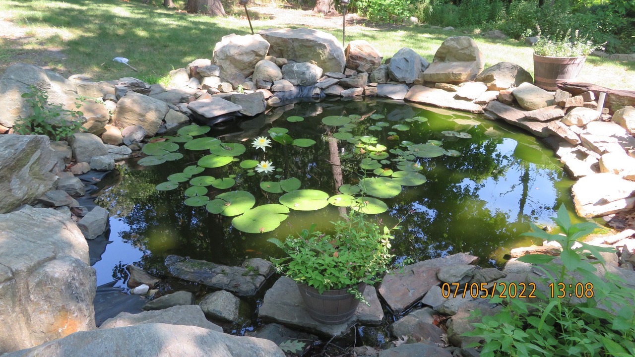 Photo of Outdoor in Hampton