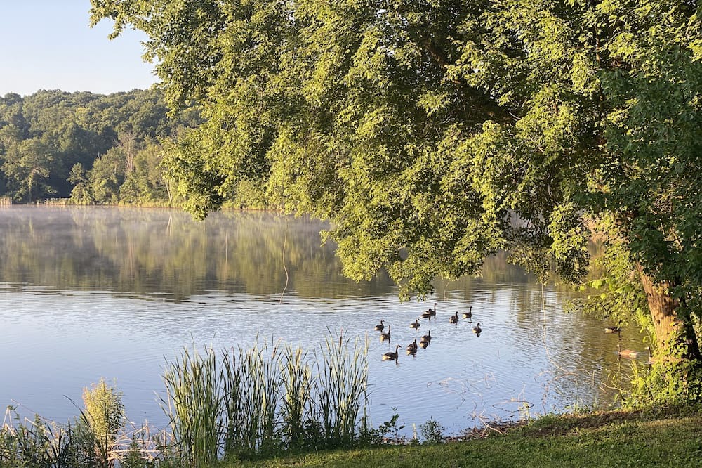 Photo of Others in Hillside Lake