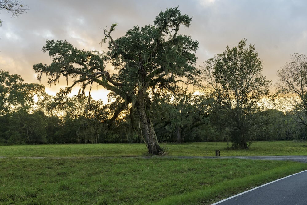 Photo of Others in Texas Gulf Coast Region