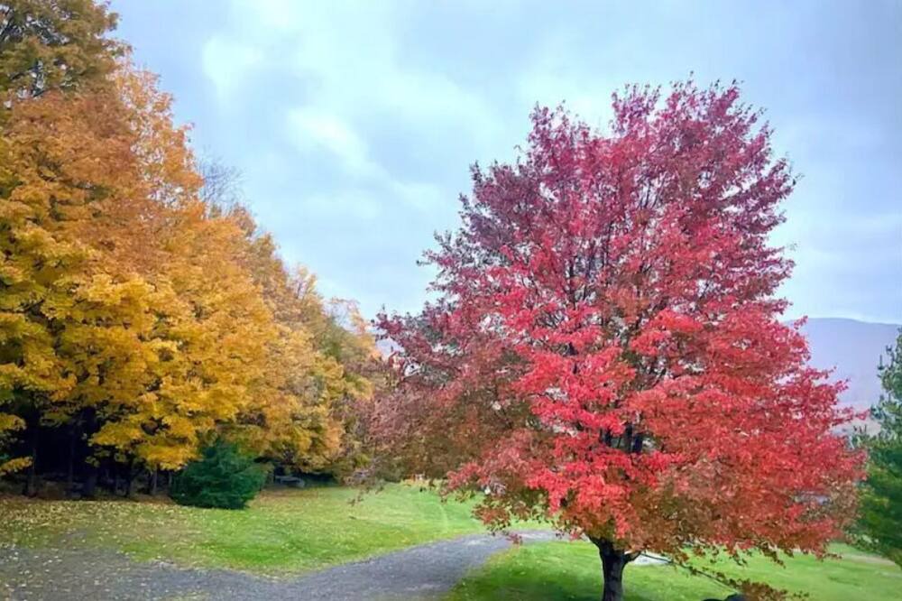 Photo of Outdoor in South Kortright