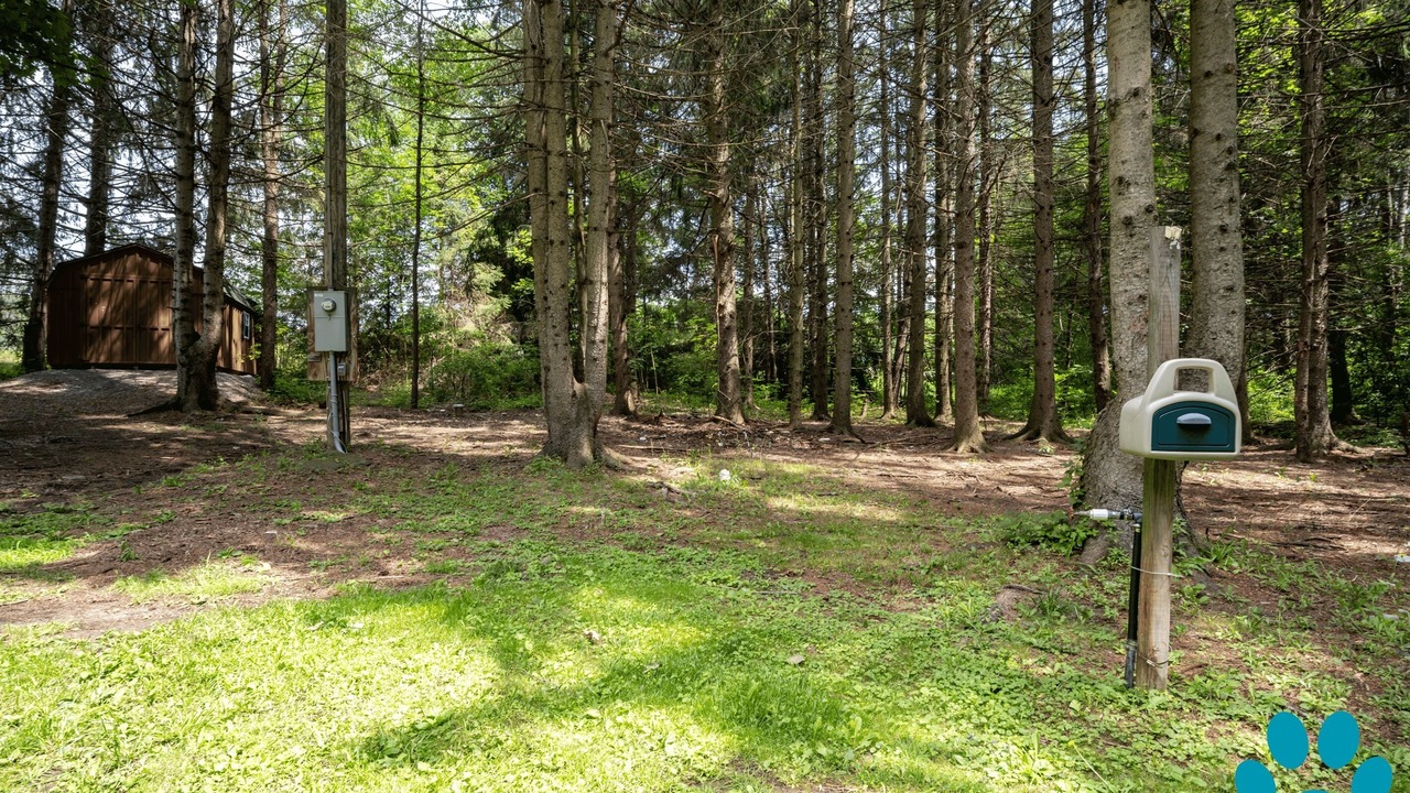 Photo of Outdoor in Scottsburg