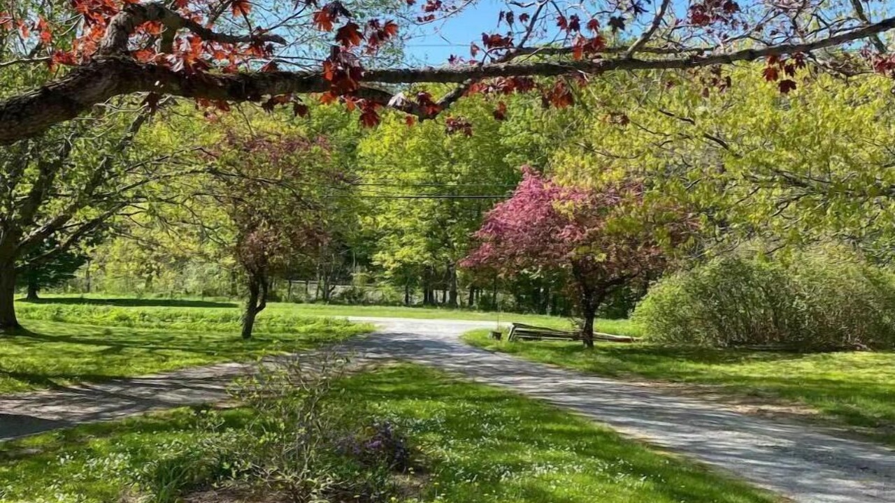 Photo of Outdoor in Brownsville