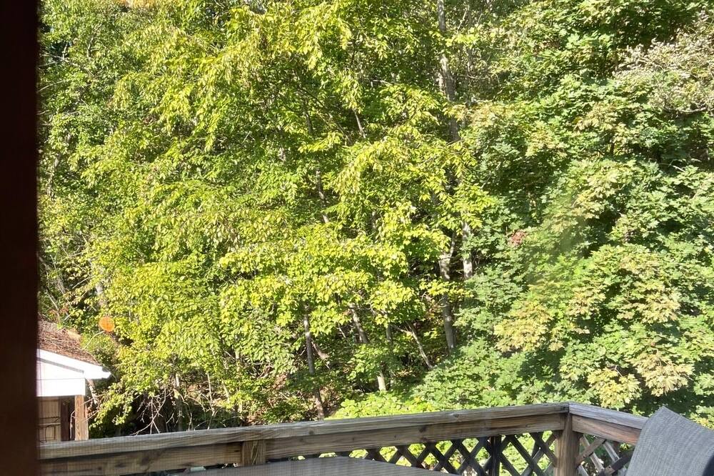 Photo of Outdoor in Ellerslie