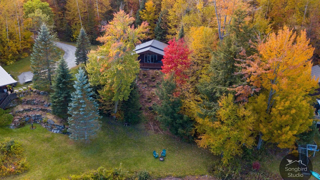 Photo of Outdoor in Eden