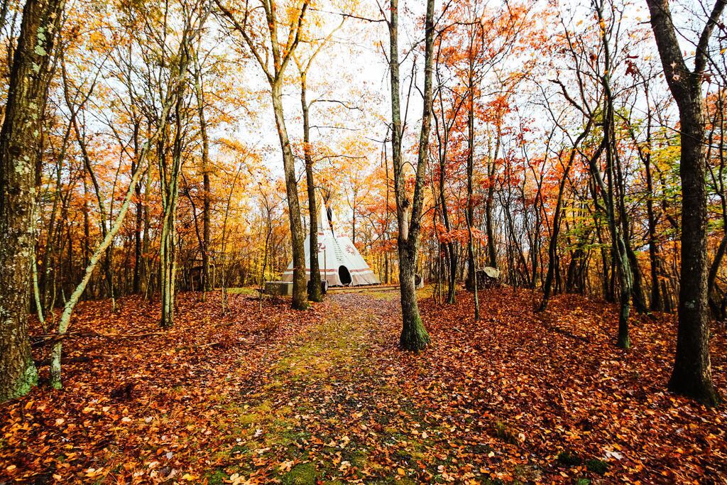 Photo of Outdoor in Copake Lake