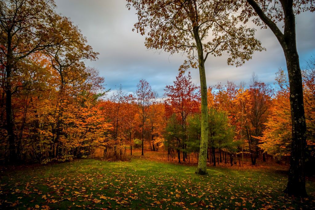 Photo of Others in Copake Lake