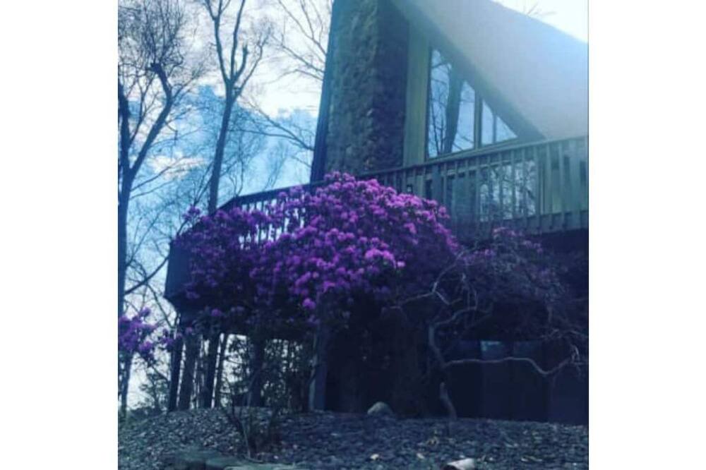 Photo of Outdoor in Fishkill