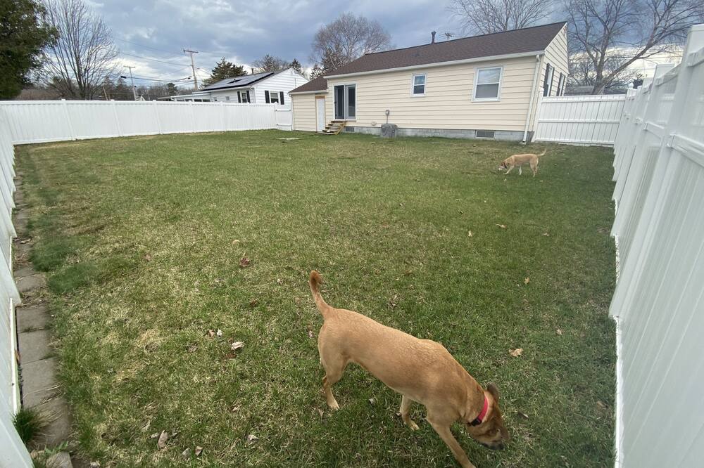 Photo of Others in New North End