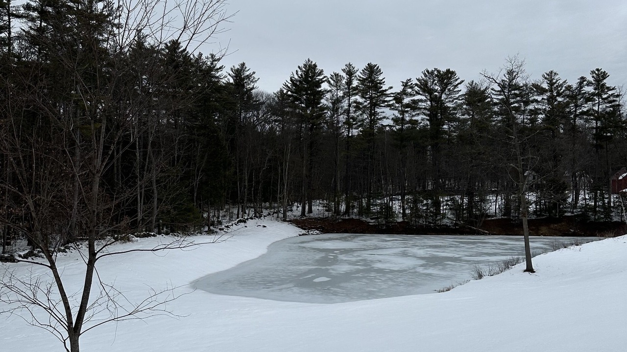 Photo of Others in Jaffrey