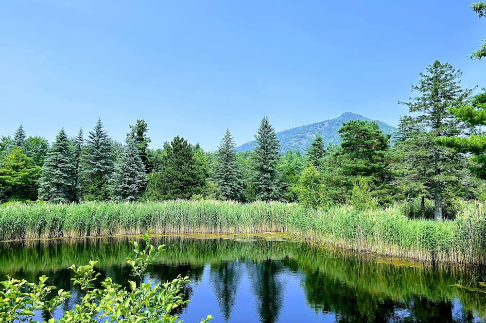 Photo of Outdoor in Jay