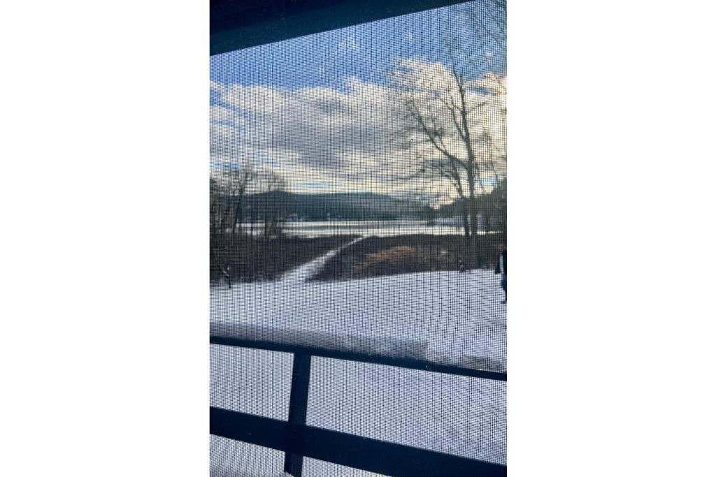 Photo of Others in Brant Lake