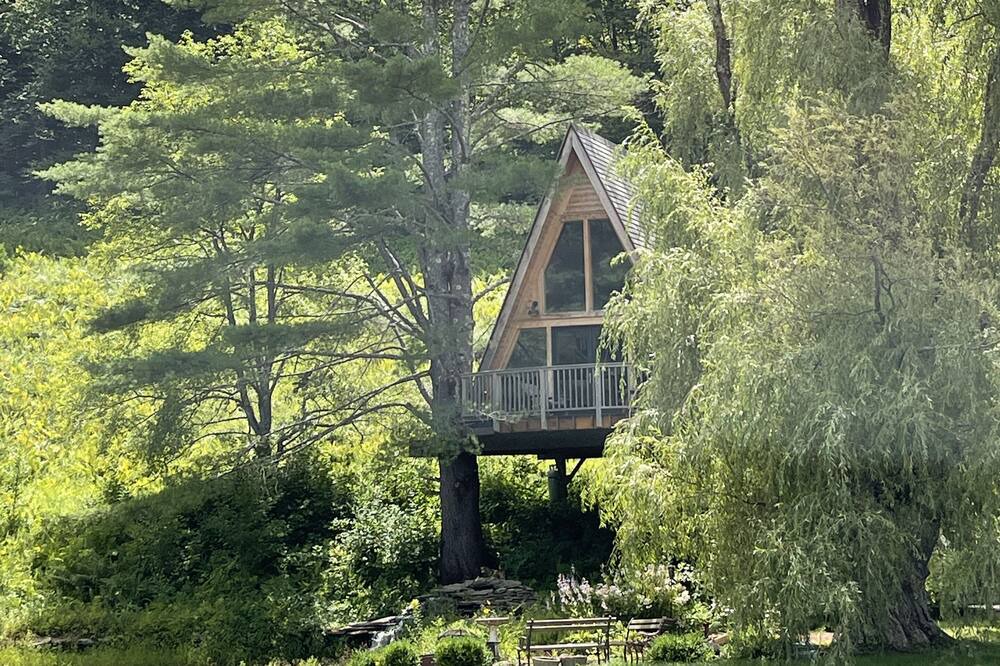 Photo of Outdoor in Williamsville