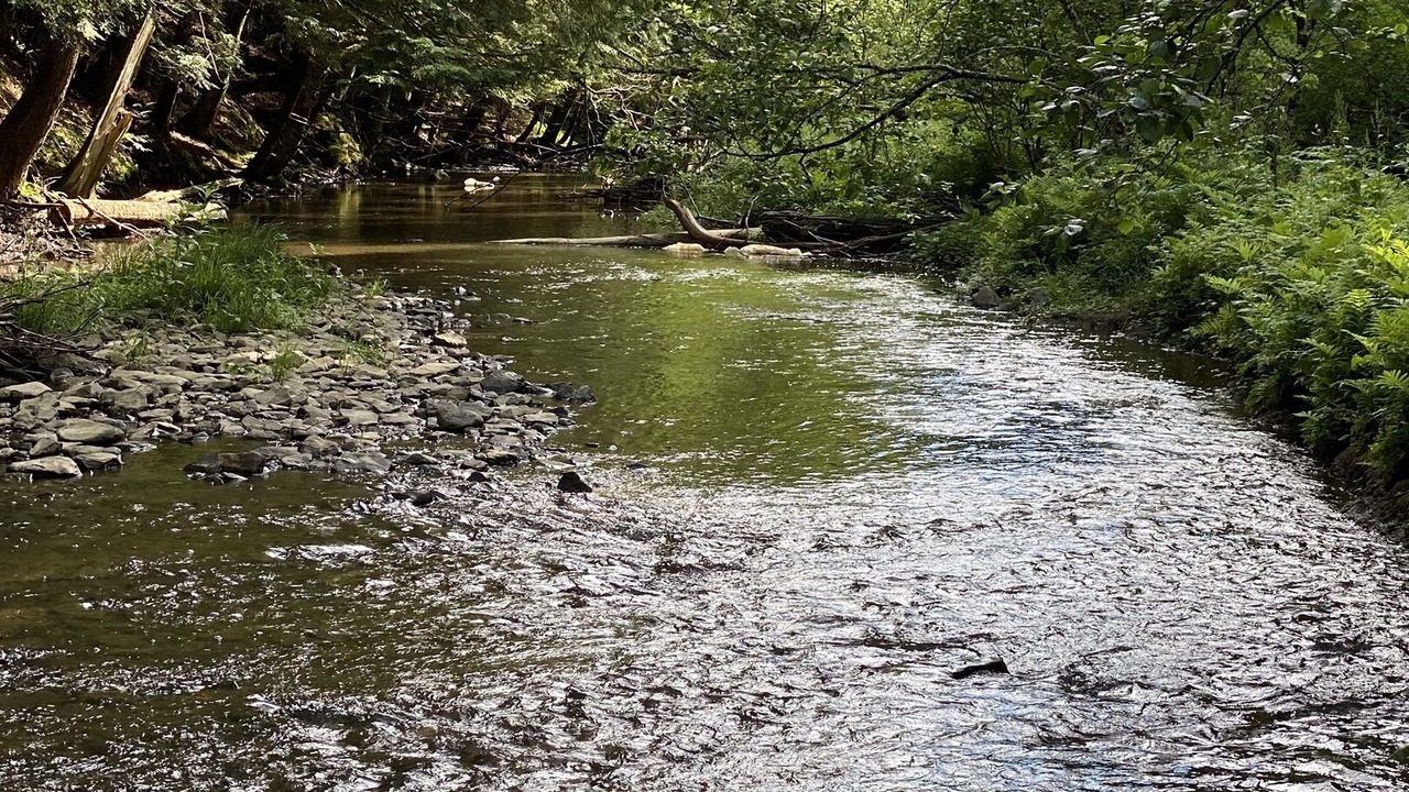 Photo of Outdoor in Burlington Flats