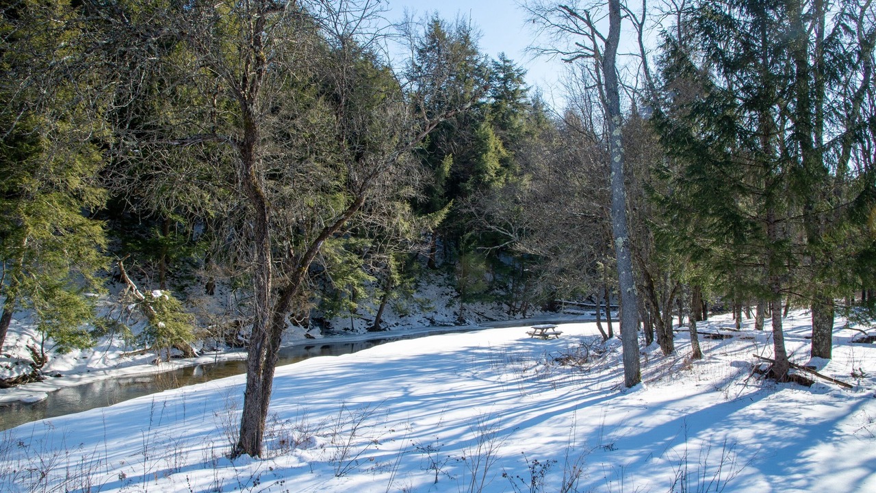 Photo of Others in Burlington Flats