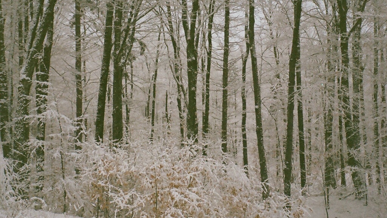 Photo of Others in East Haven  Rutland County