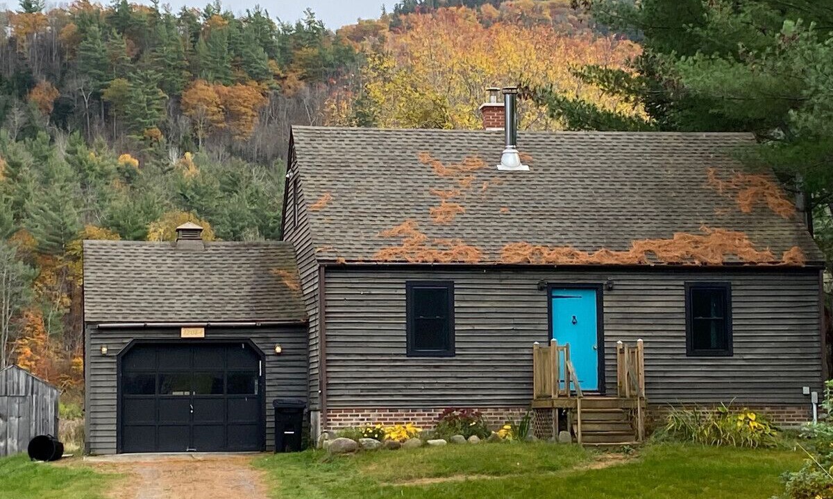 Photo of Outdoor in Upper Jay