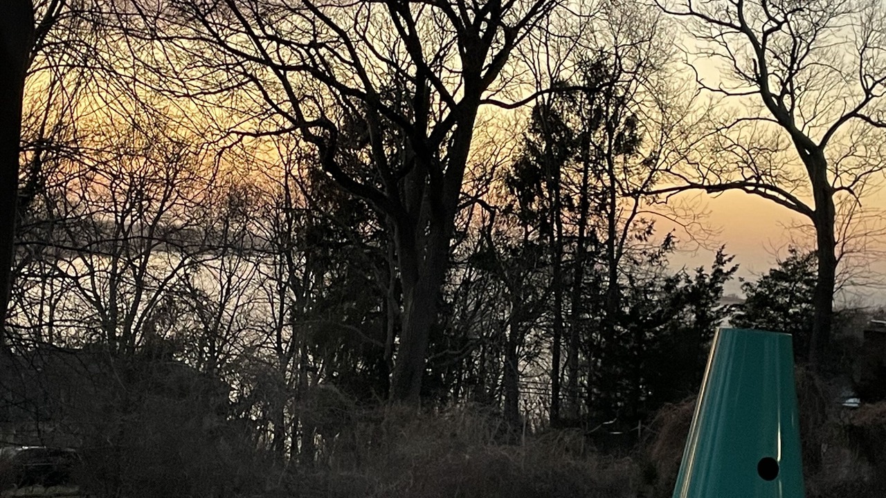 Photo of Outdoor in Port Jefferson