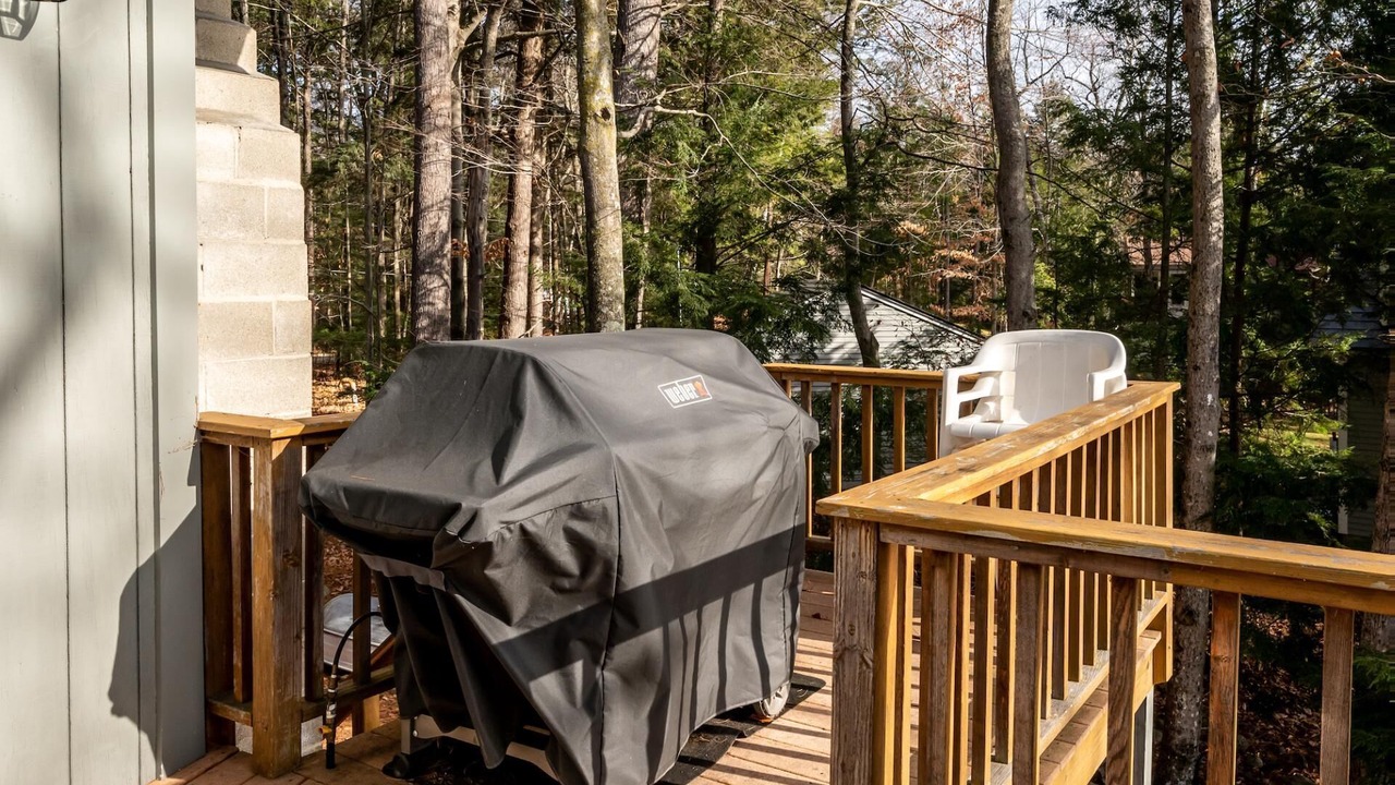 Photo of Outdoor in Moultonborough