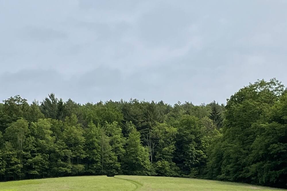 Photo of Others in Canaan