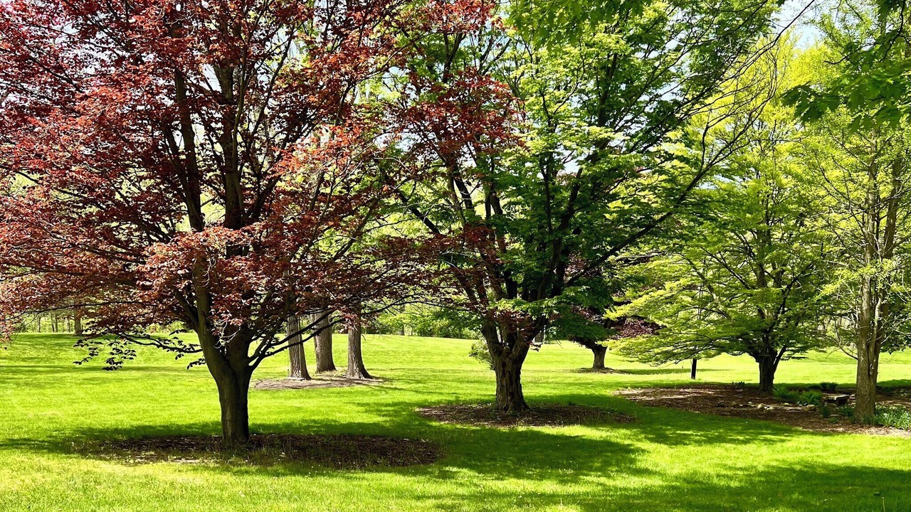 Photo of Outdoor in Newfield