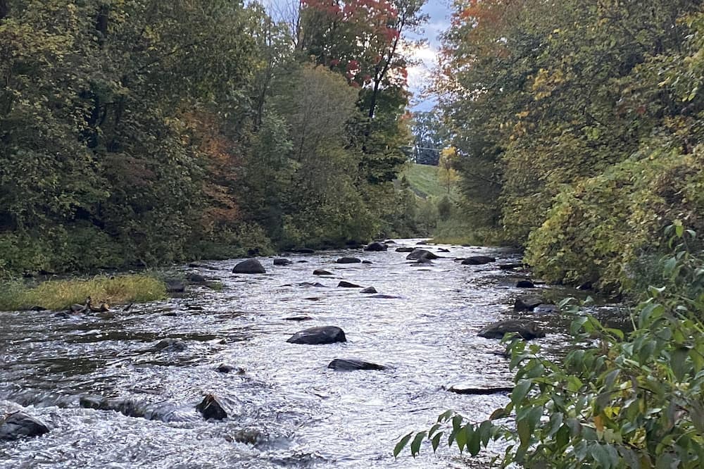 Photo of Others in Schuyler Falls