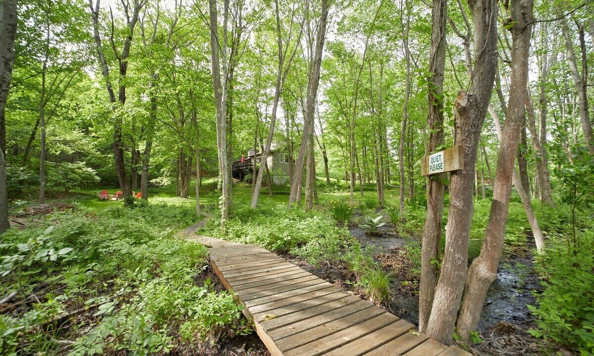 Photo of Outdoor in Staatsburg