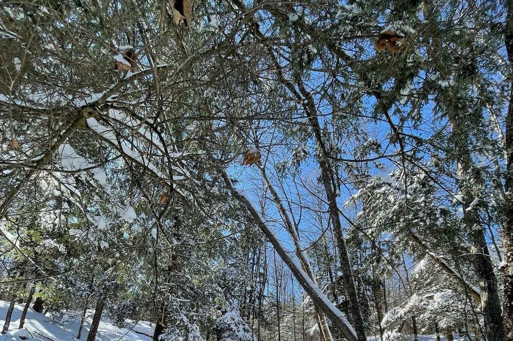 Photo of Outdoor in Boonville