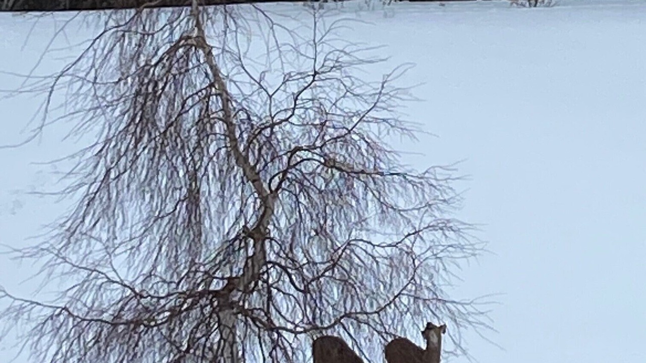 Photo of Others in Derby