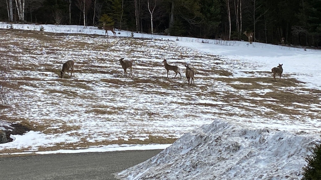 Photo of Outdoor in Derby
