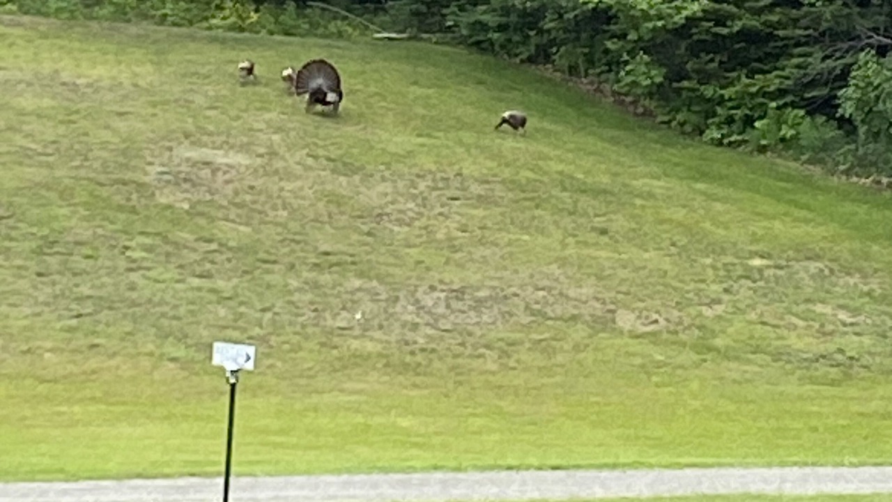 Photo of Others in Derby