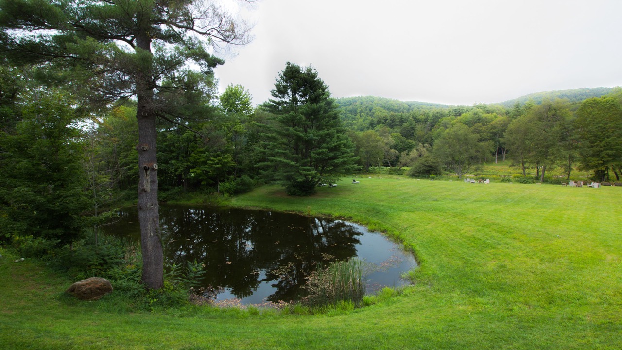 Photo of Outdoor in West Woodstock