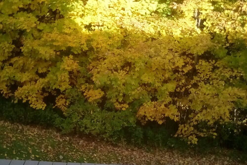 Photo of Outdoor in Beebe Plain