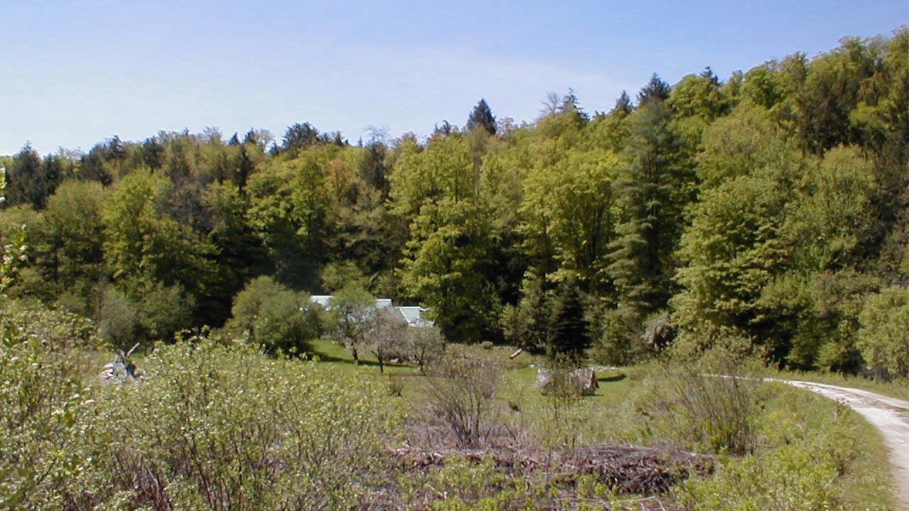 Photo of Outdoor in Killington