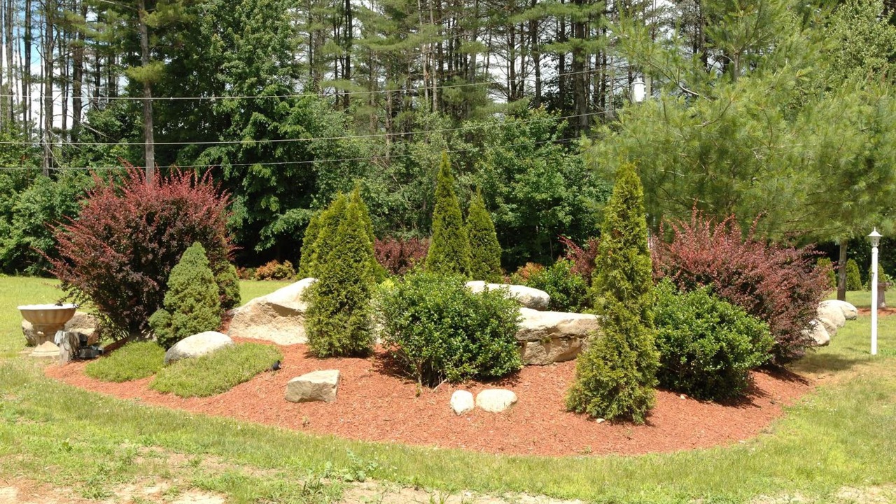 Photo of Outdoor in Center Conway