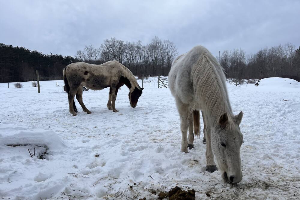 Photo of Outdoor in Walton