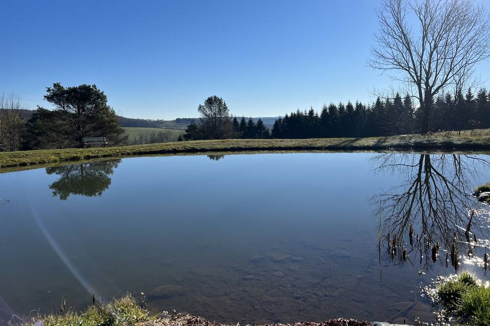 Photo of Outdoor in Walton