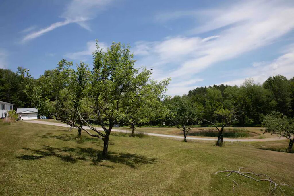 Photo of Outdoor in Grafton