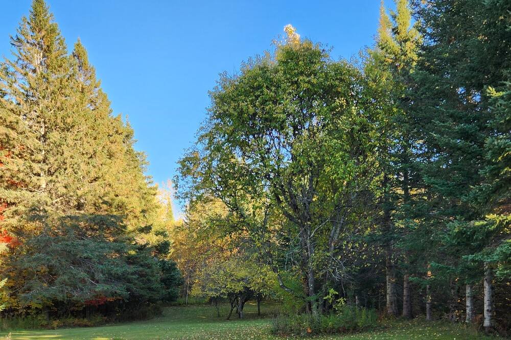 Photo of Outdoor in East Burke