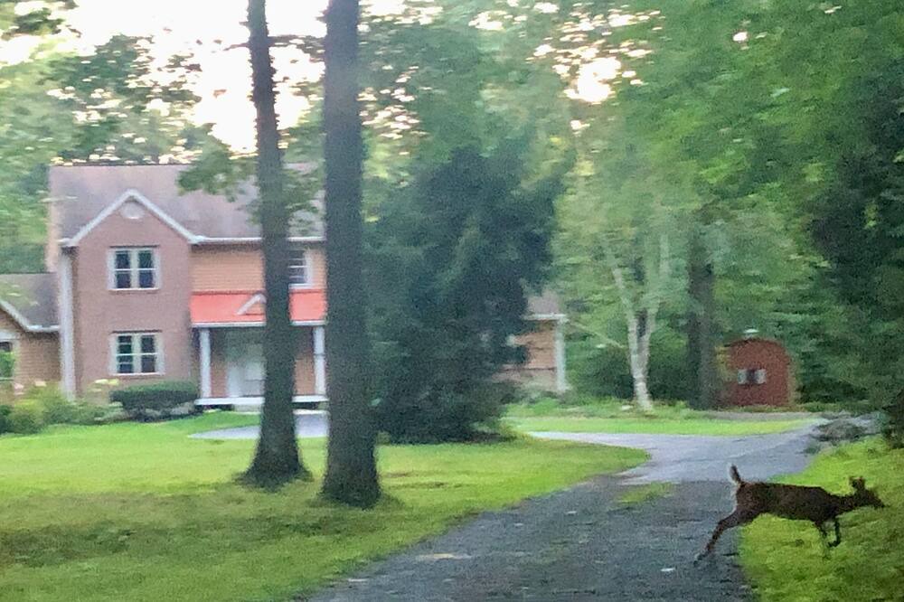 Photo of Outdoor in Saratoga Springs