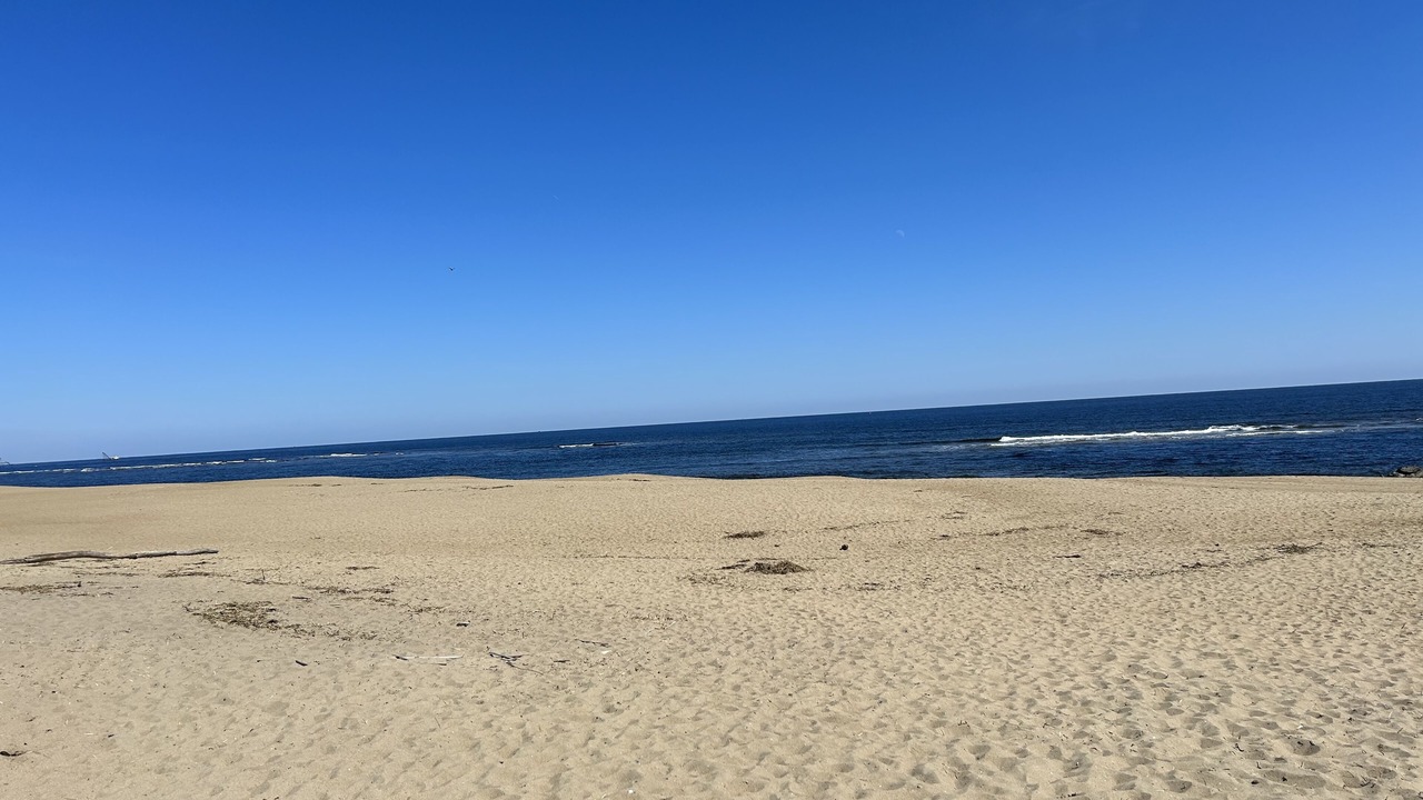 Photo of Outdoor in Newburyport
