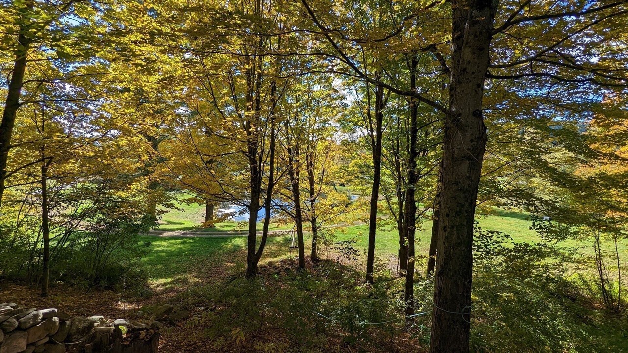 Photo of Others in Chittenden