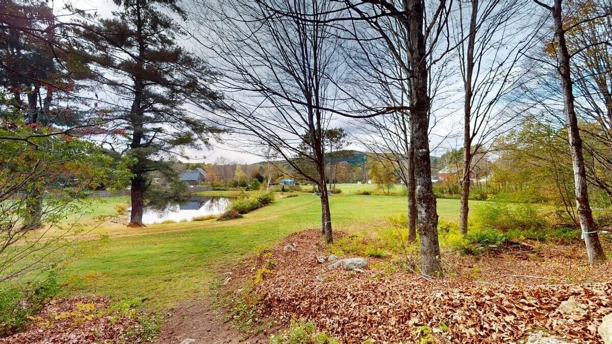 Photo of Others in Chittenden